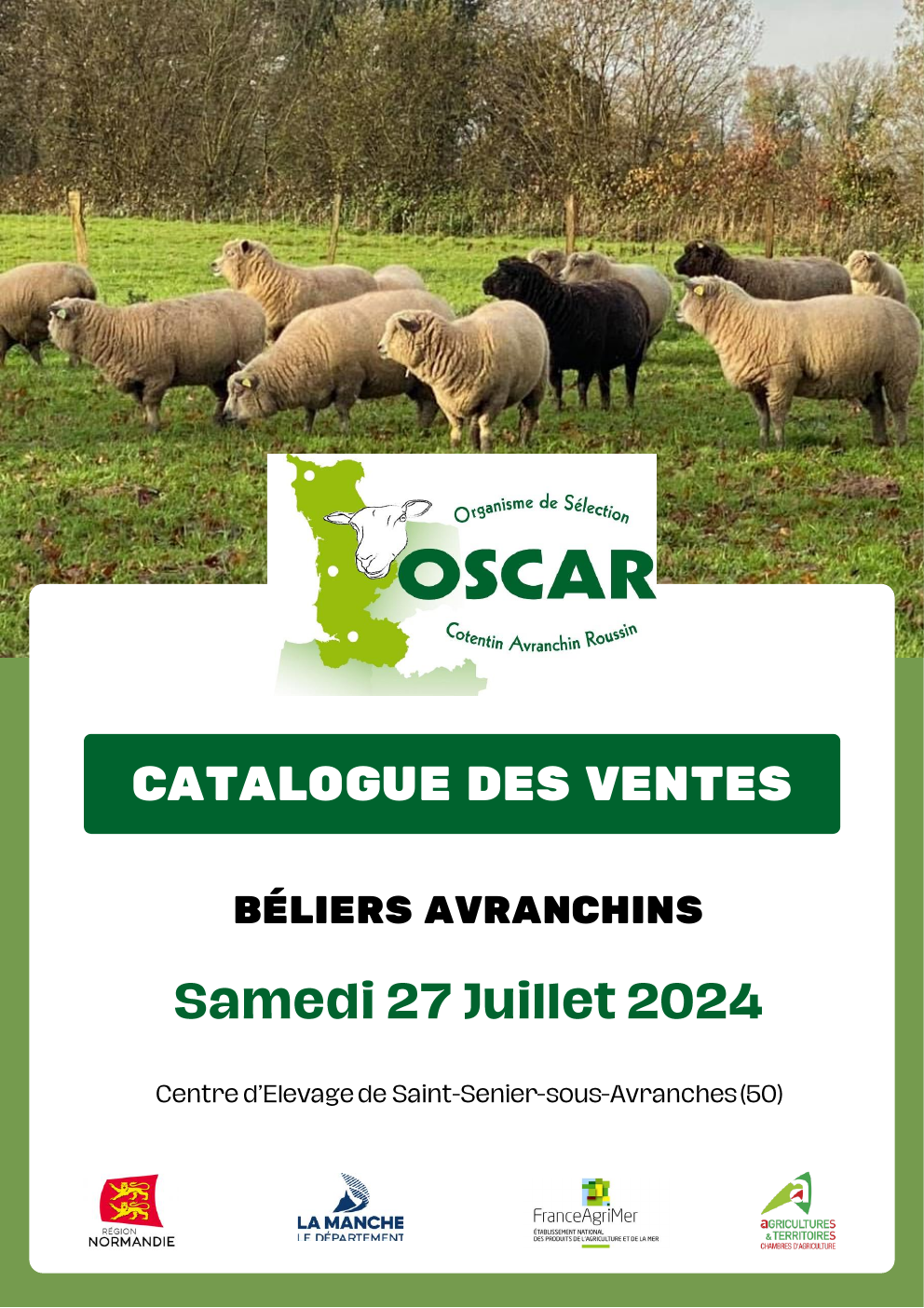 Bélier Avranchin présenté dans le catalogue de vente 2024