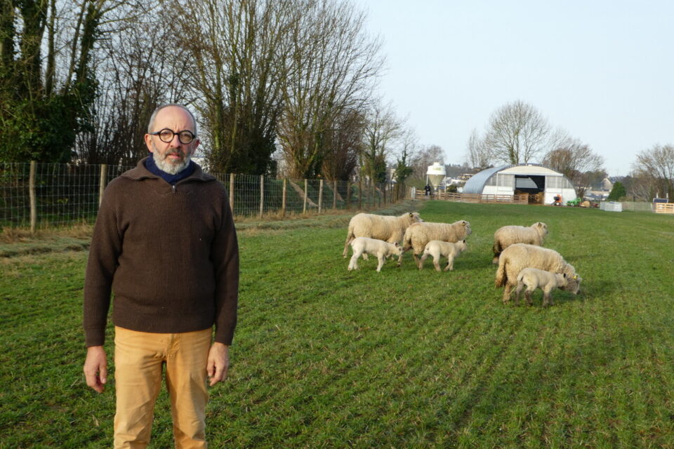 Étienne Leroy devant des brebis Avranchin à la Bergerie du Rocher.
